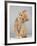 Cute Little Kitten-Lana Langlois-Framed Photographic Print