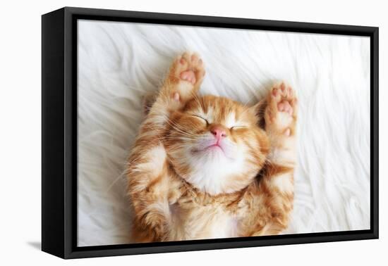 Cute Little Red Kitten Sleeps on Fur White Blanket-Alena Ozerova-Framed Premier Image Canvas