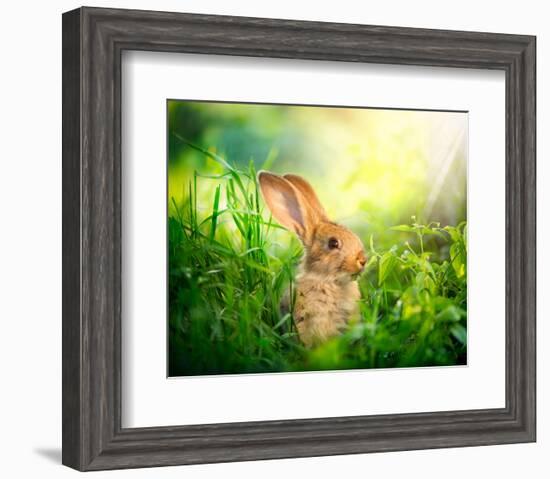 Cute Little Sunny Easter Bunny-null-Framed Art Print