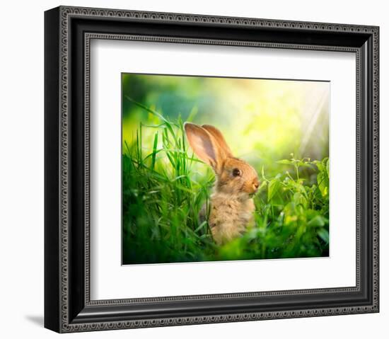 Cute Little Sunny Easter Bunny-null-Framed Art Print