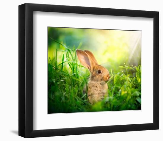 Cute Little Sunny Easter Bunny-null-Framed Art Print