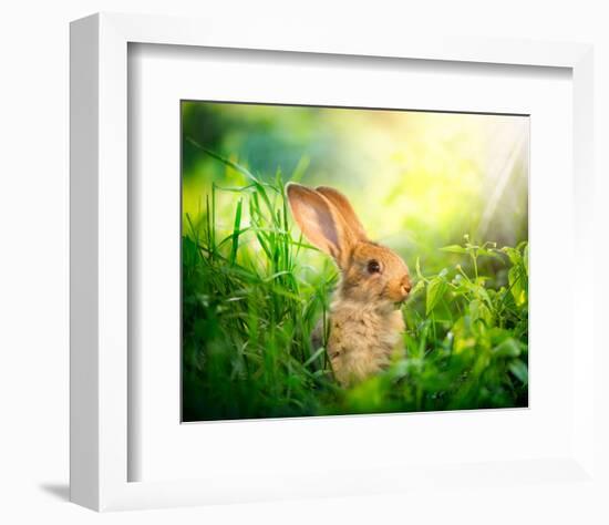 Cute Little Sunny Easter Bunny-null-Framed Art Print