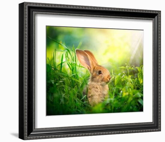 Cute Little Sunny Easter Bunny-null-Framed Art Print