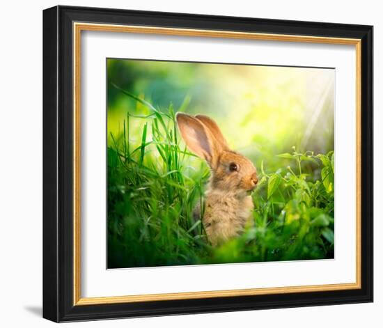 Cute Little Sunny Easter Bunny-null-Framed Art Print