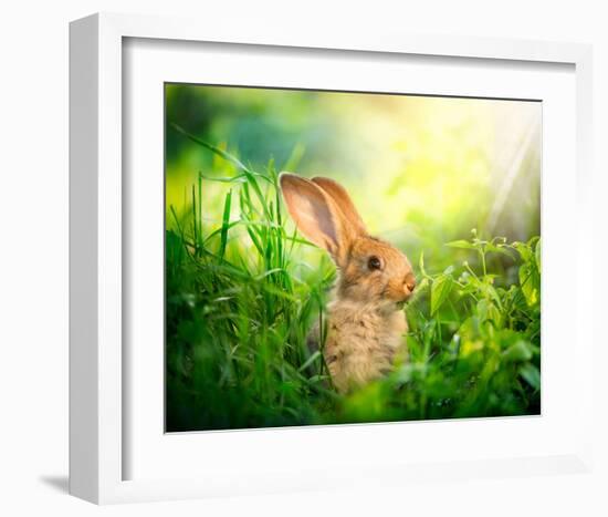 Cute Little Sunny Easter Bunny-null-Framed Art Print