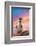 Cute Penguin with Sunset Background-Eric Gevaert-Framed Photographic Print