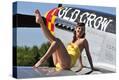 Stretched Canvas Print