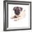 Cute Pug Puppy-Edward M. Fielding-Framed Photographic Print