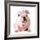 Cute Puppy - English Bulldog Female Wearing Cute Costume-Willee Cole-Framed Photographic Print