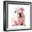 Cute Puppy - English Bulldog Female Wearing Cute Costume-Willee Cole-Framed Photographic Print