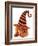 Cute Puppy Wearing a Halloween Witch Hat-Hannamariah-Framed Photographic Print