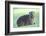 Cute Rock Hyrax Animal-Four Oaks-Framed Photographic Print