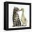 Cute Tabby Kitten, Fosset, 9 Weeks, Nose to Beak with Yellow Gosling-Mark Taylor-Framed Premier Image Canvas