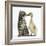 Cute Tabby Kitten, Fosset, 9 Weeks, Nose to Beak with Yellow Gosling-Mark Taylor-Framed Photographic Print