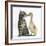 Cute Tabby Kitten, Fosset, 9 Weeks, Nose to Beak with Yellow Gosling-Mark Taylor-Framed Photographic Print