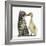 Cute Tabby Kitten, Fosset, 9 Weeks, Nose to Beak with Yellow Gosling-Mark Taylor-Framed Photographic Print