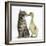 Cute Tabby Kitten, Fosset, 9 Weeks, Nose to Beak with Yellow Gosling-Mark Taylor-Framed Photographic Print