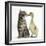 Cute Tabby Kitten, Fosset, 9 Weeks, Nose to Beak with Yellow Gosling-Mark Taylor-Framed Photographic Print