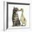 Cute Tabby Kitten, Fosset, 9 Weeks, Nose to Beak with Yellow Gosling-Mark Taylor-Framed Photographic Print