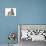 Cute Tabby Kittens, Stanley and Fosset, 9 Weeks-Mark Taylor-Photographic Print displayed on a wall