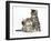 Cute Tabby Kittens, Stanley and Fosset, 9 Weeks-Mark Taylor-Framed Photographic Print