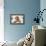Cute Toy Poodle Resting on Bed-Lim Tiaw Leong-Framed Premier Image Canvas displayed on a wall