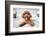 Cute Toy Poodle Resting on Bed-Lim Tiaw Leong-Framed Photographic Print