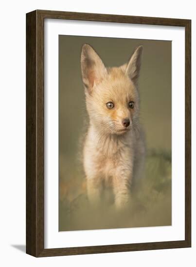 Cuteness-Ahmed Sobhi-Framed Giclee Print