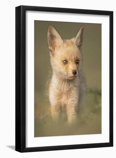 Cuteness-Ahmed Sobhi-Framed Giclee Print