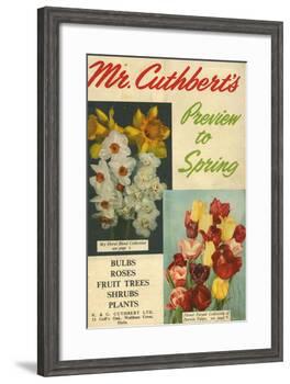 Cuthbert's, UK-null-Framed Giclee Print