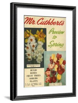 Cuthbert's, UK-null-Framed Giclee Print