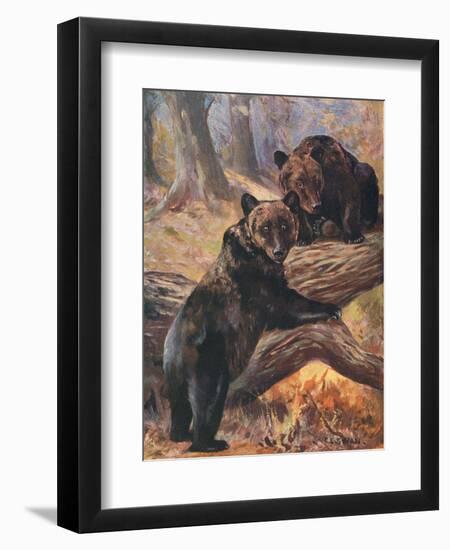 Art Print, , large