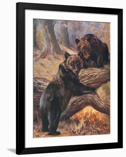 Art Print, , large