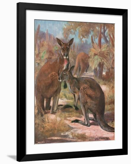 Art Print, , large