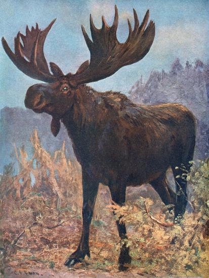 Premium Giclee Print, , large
