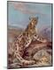 Premium Giclee Print