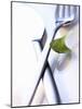 Cutlery with a Corn Salad Leaf-Dorota & Bogdan Bialy-Mounted Photographic Print