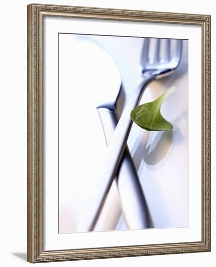 Cutlery with a Corn Salad Leaf-Dorota & Bogdan Bialy-Framed Photographic Print