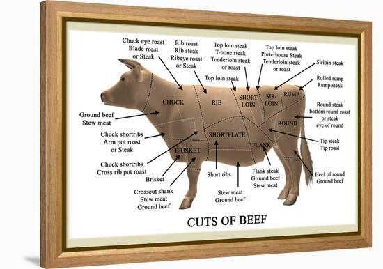 Cuts of Beef-Take 27 LTD-Framed Premier Image Canvas