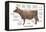 Cuts of Beef-Take 27 LTD-Framed Premier Image Canvas