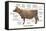 Cuts of Beef-Take 27 LTD-Framed Premier Image Canvas