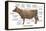 Cuts of Beef-Take 27 LTD-Framed Premier Image Canvas