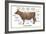 Cuts of Beef-Take 27 LTD-Framed Photographic Print