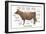 Cuts of Beef-Take 27 LTD-Framed Photographic Print