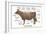 Cuts of Beef-Take 27 LTD-Framed Photographic Print