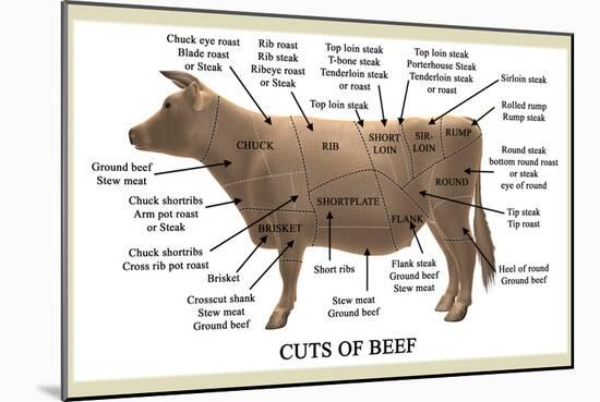 Cuts of Beef-Take 27 LTD-Mounted Photographic Print