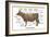 Cuts of Beef-Take 27 LTD-Framed Photographic Print