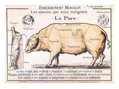 Vintage Pig Butcher Chart