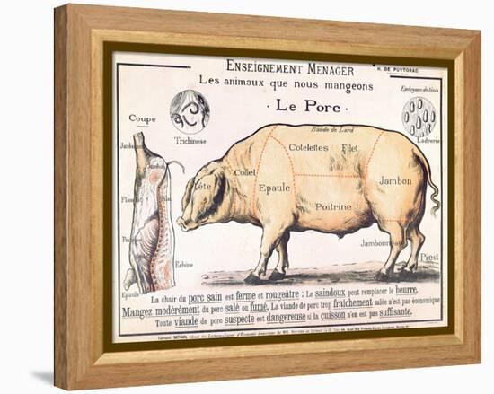 Cuts of Pork, illustration from a French Domestic Science Manual by H. de Puytorac, 19th century-null-Framed Premier Image Canvas