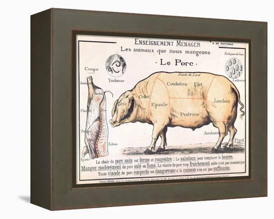 Cuts of Pork, illustration from a French Domestic Science Manual by H. de Puytorac, 19th century-null-Framed Premier Image Canvas